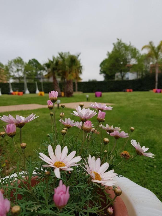 I Giardini Del Novecento Hotel ลาเมเซ แตร์เม ภายนอก รูปภาพ